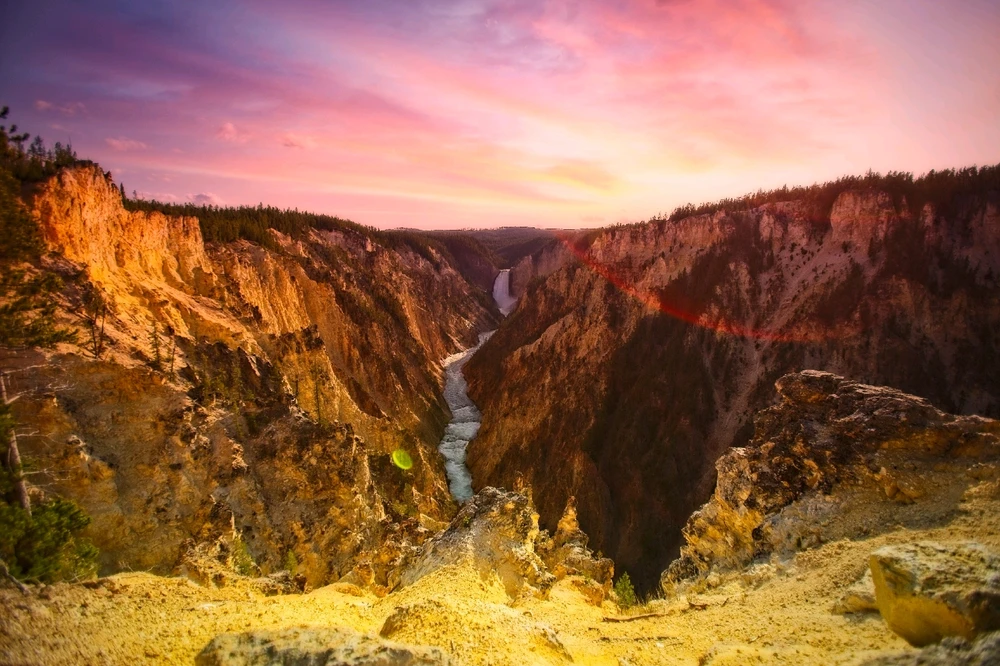 Image uploaded by Shawn