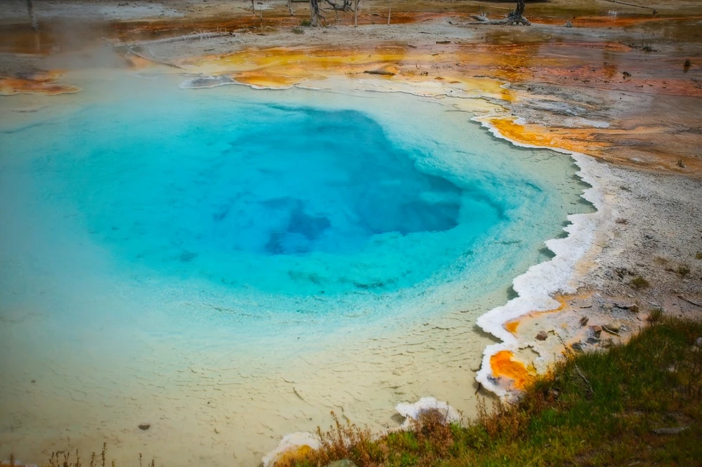 Image uploaded by Shawn