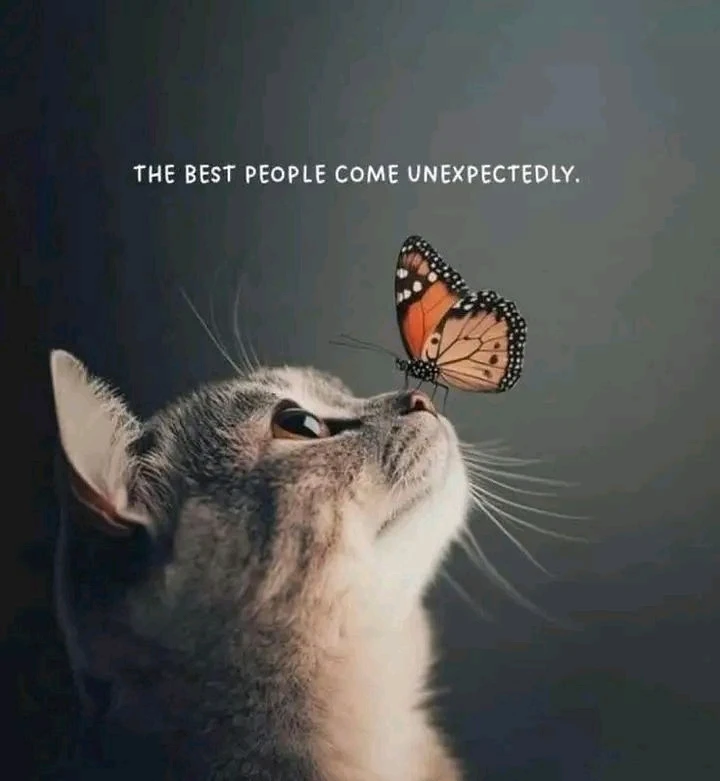 GIF uploaded by 𝑨𝒏𝒆𝒆𝒍..