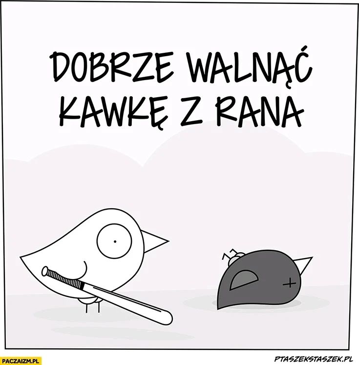 GIF dodany przez Krzysiek