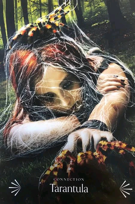 GIF subido por ꓄ђ