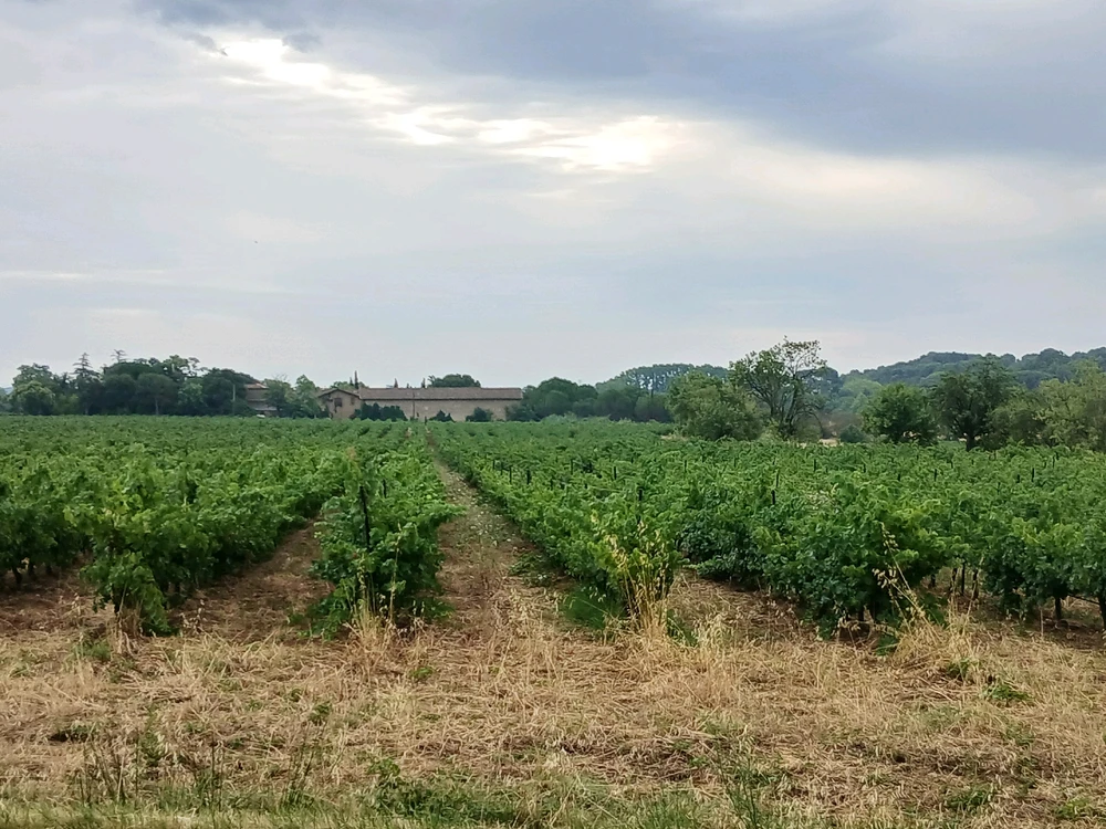 Image ajoutée par Rick