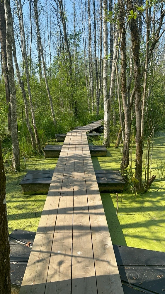 GIF uploaded by Oskar