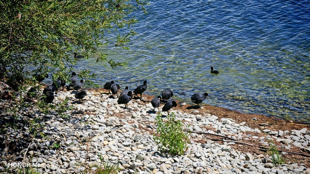 Bild hochgeladen von Benjamin