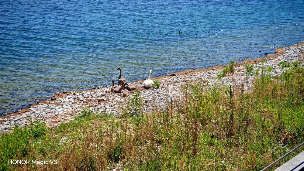 Bild hochgeladen von Benjamin