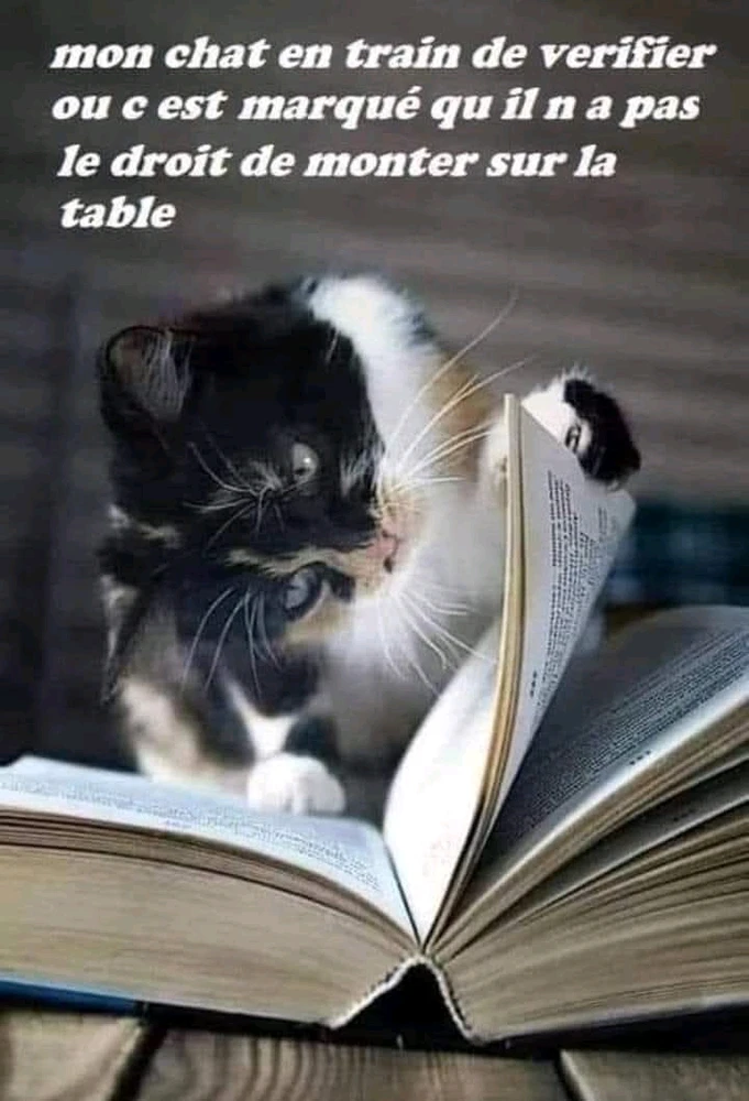 GIF ajouté par Ꭻລԁ𝙚