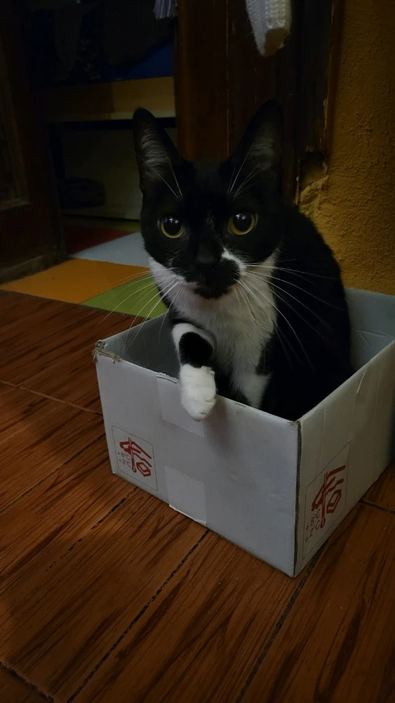 GIF diunggah dening Eze