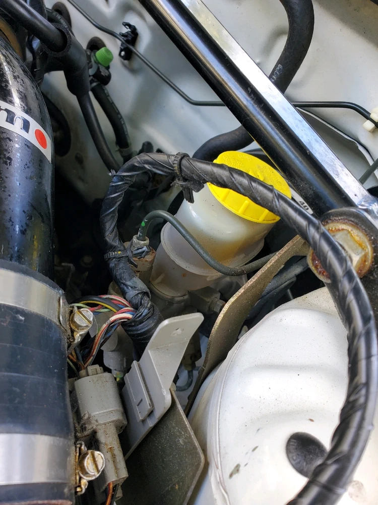 Image uploaded by David