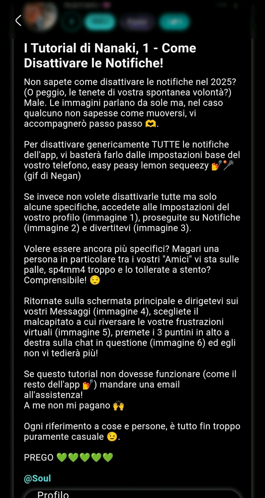 Immagine caricata da Nanaki