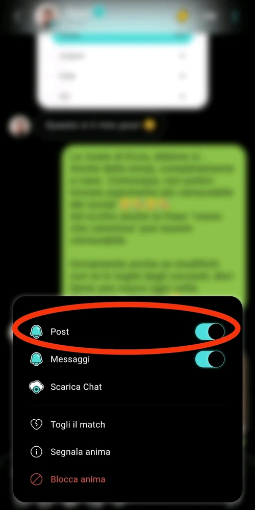 Immagine caricata da Nanaki