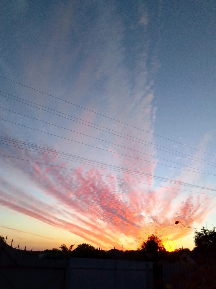 Зображення завантажив Ihor