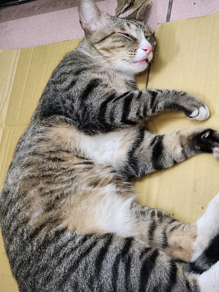 GIF uploaded by Ellaine