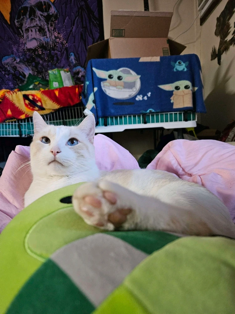 GIF uploaded by jess