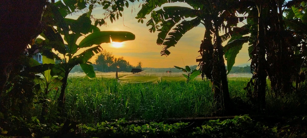 GIF diunggah oleh Cun