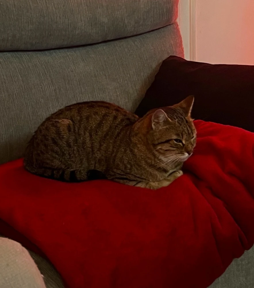 Image ajoutée par Nicolas