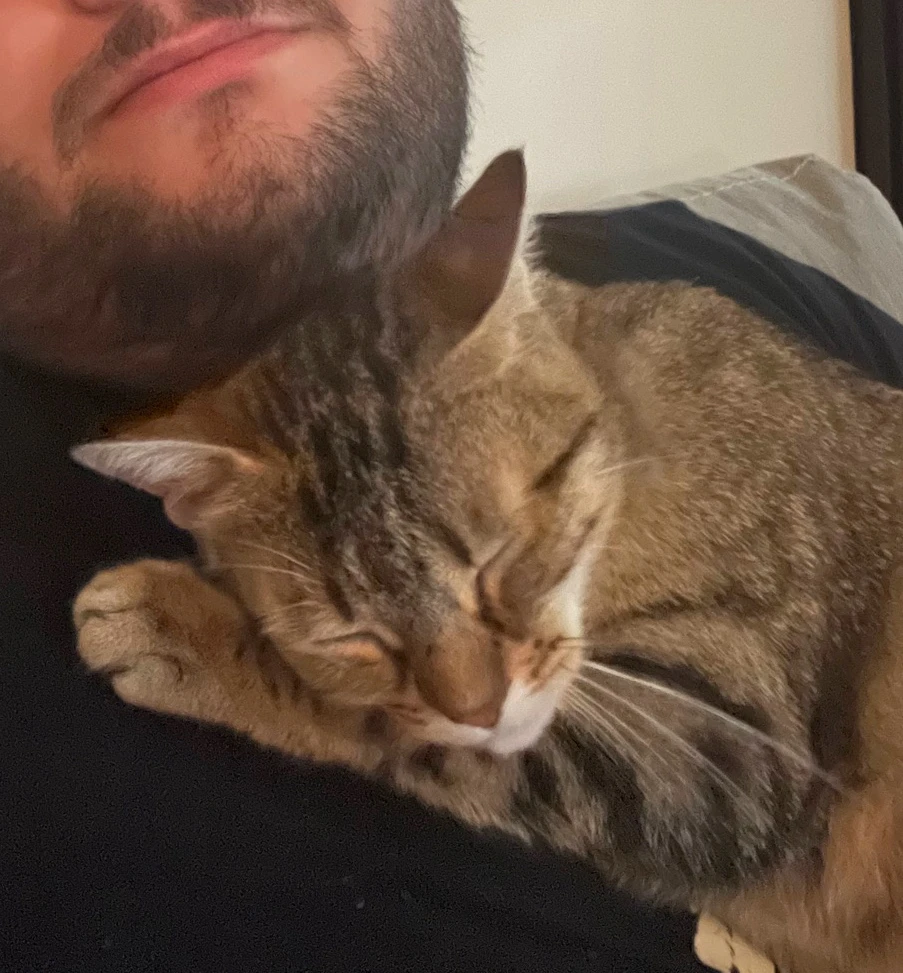 Image ajoutée par Nicolas