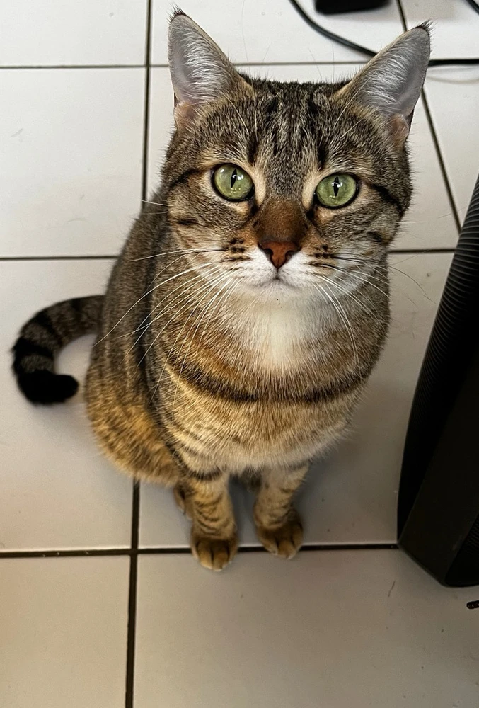 Image ajoutée par Nicolas