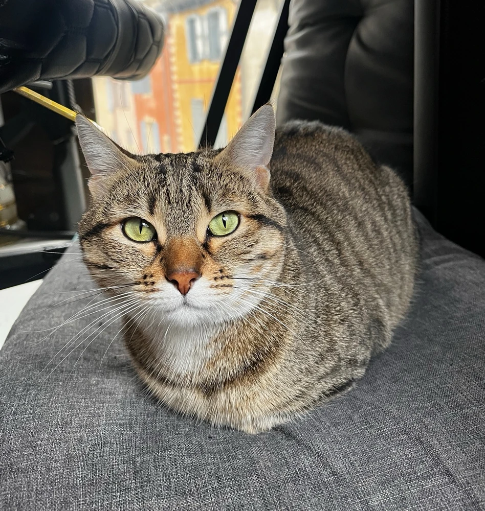 Image ajoutée par Nicolas