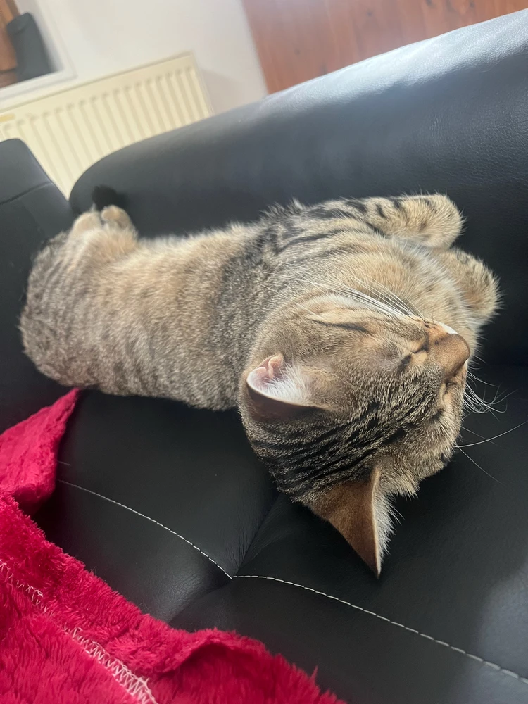 Image ajoutée par Nicolas