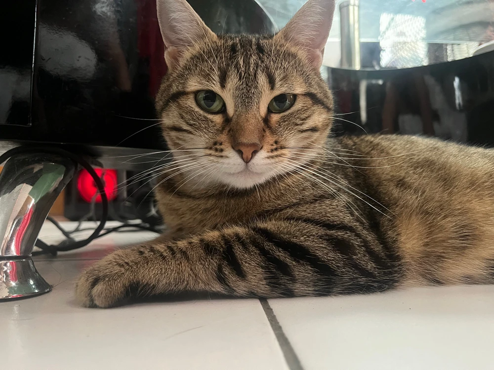 Image ajoutée par Nicolas