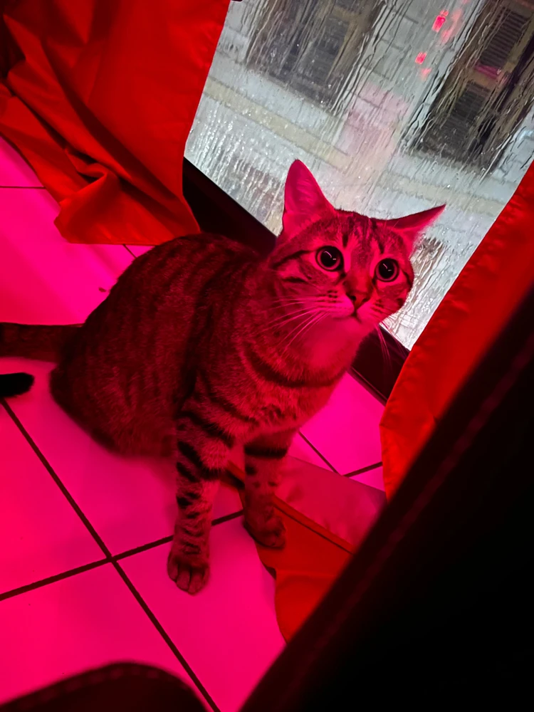 Image ajoutée par Nicolas