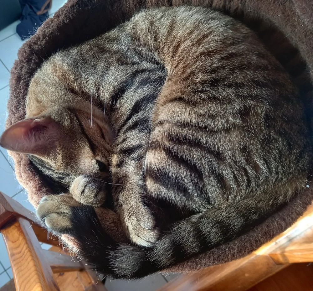 Image ajoutée par Nicolas