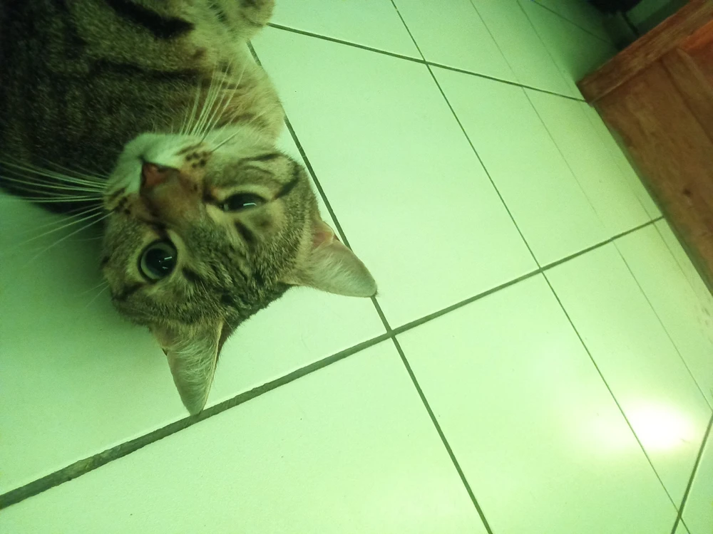 Image ajoutée par Nicolas