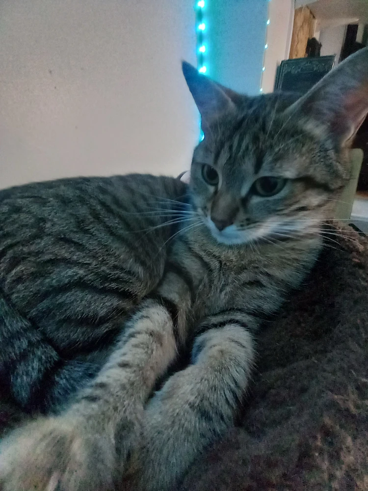 Image ajoutée par Nicolas