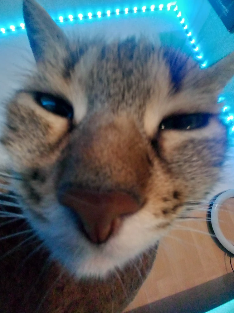 Image ajoutée par Nicolas