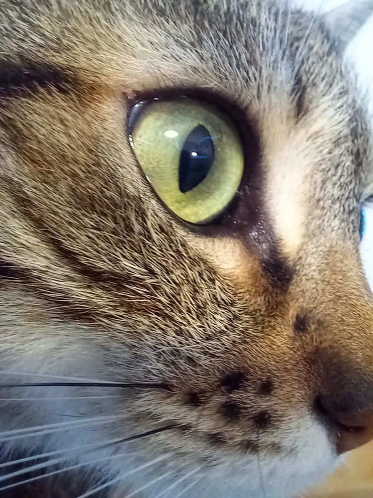 Image ajoutée par Nicolas