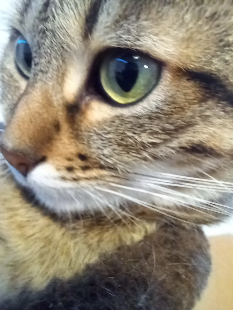 Image ajoutée par Nicolas