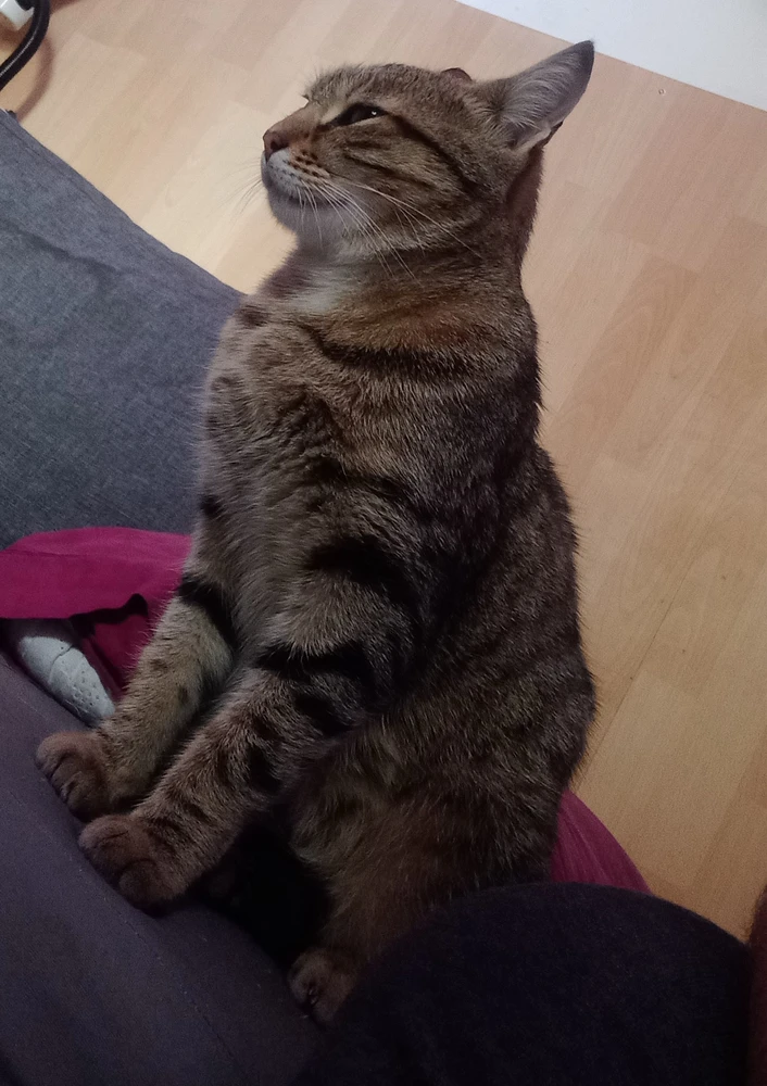 Image ajoutée par Nicolas