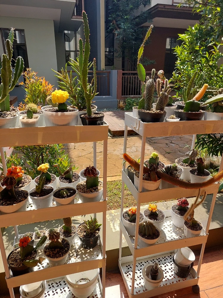 GIF diunggah oleh Nda