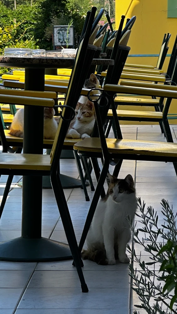 Image uploaded by Katie