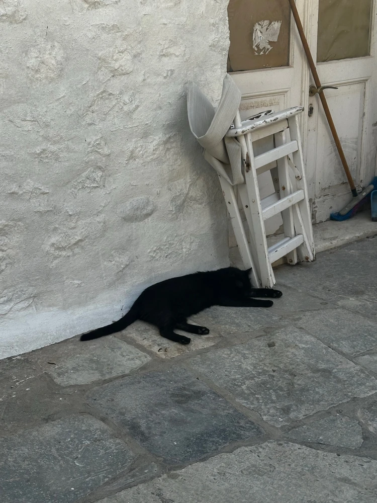 Image uploaded by Katie