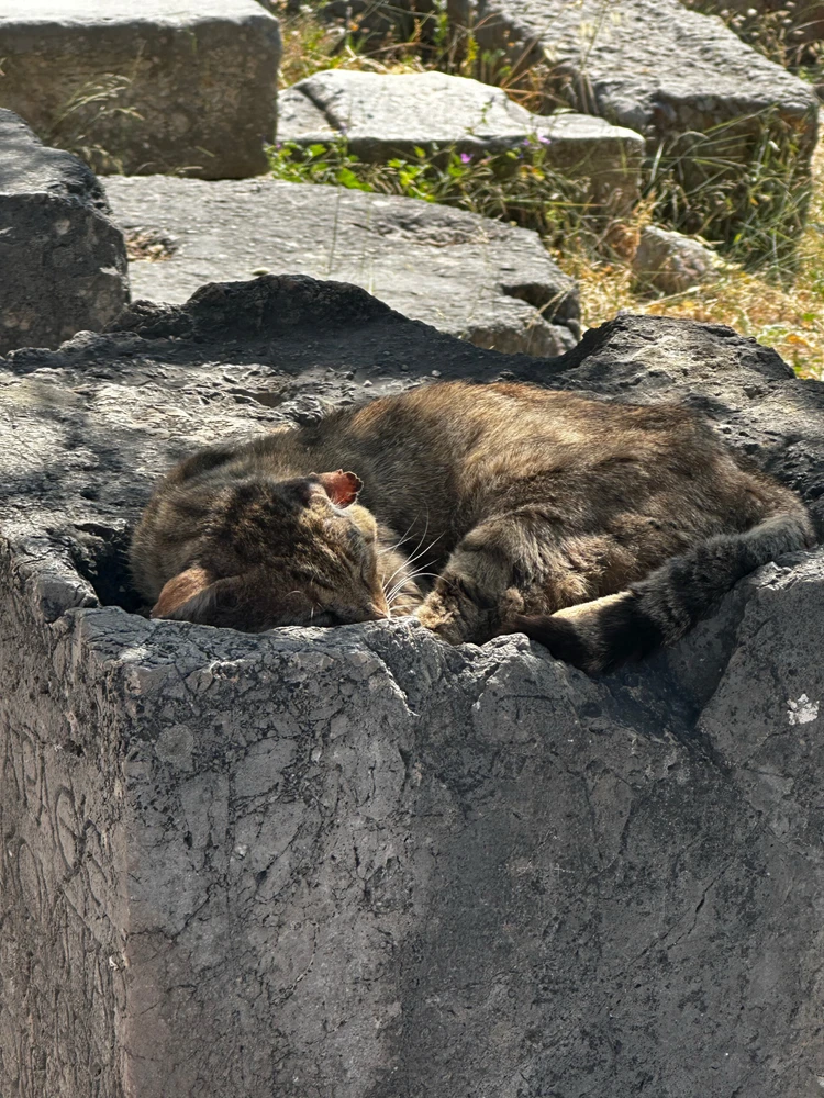 Image uploaded by Katie