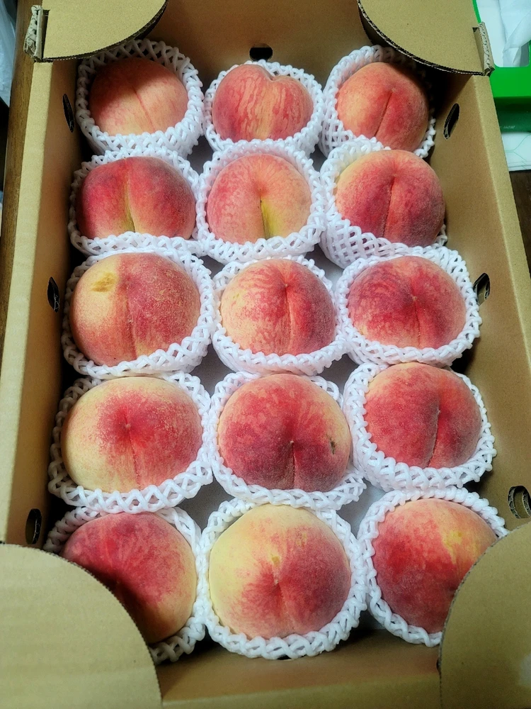 Summer Sweetness 💕