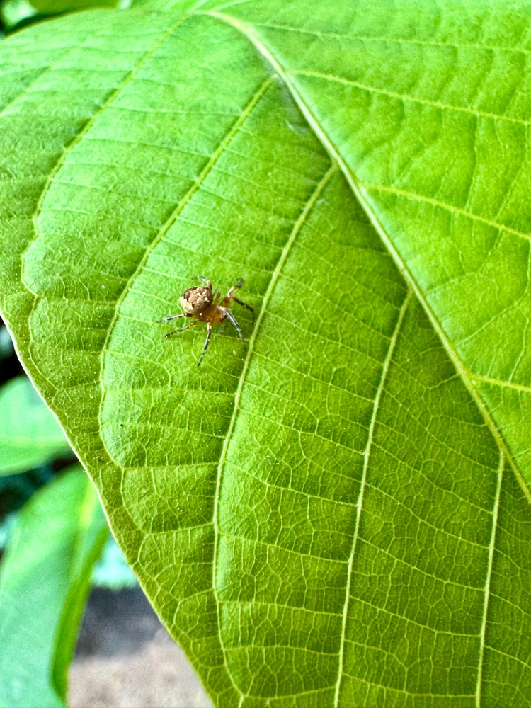 GIF dodany przez Szymon