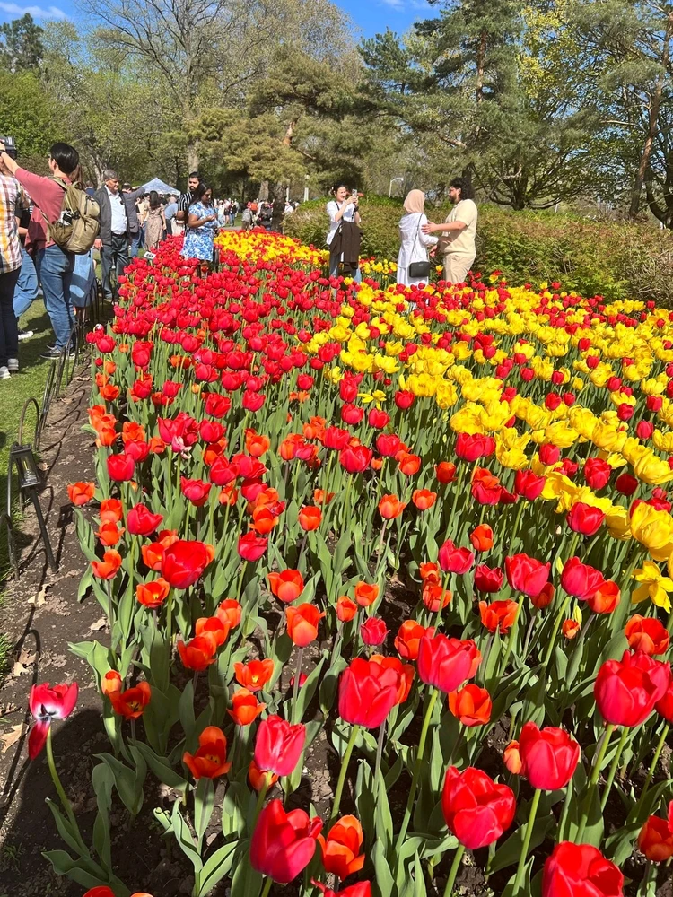 Image uploaded by Bharani Ravi Kanth R