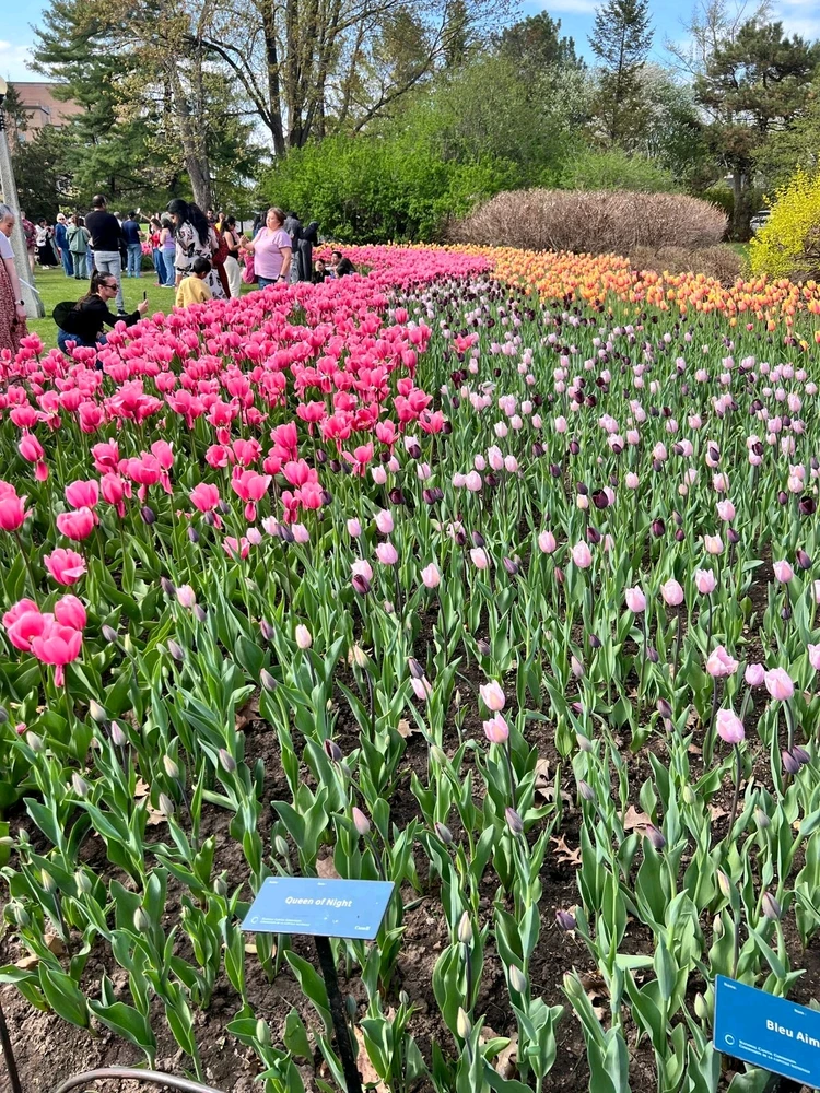 Image uploaded by Bharani Ravi Kanth R