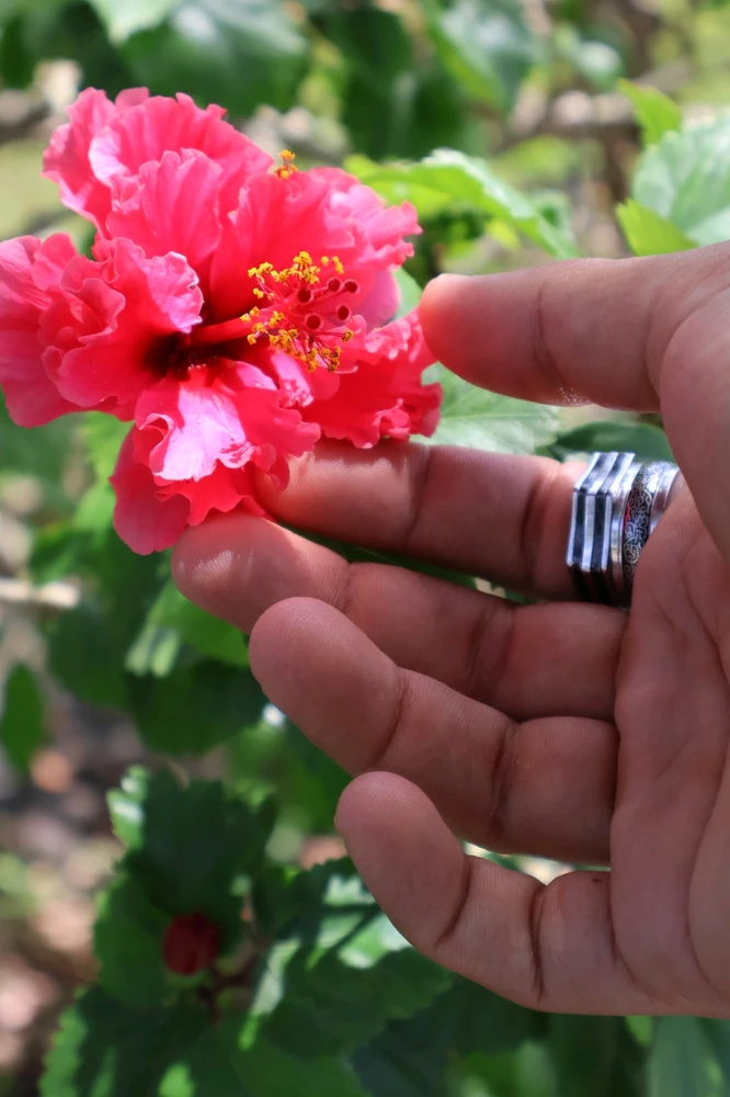 GIF uploaded by Andy. Law.