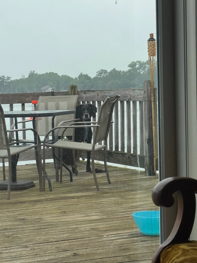 Image uploaded by Michael