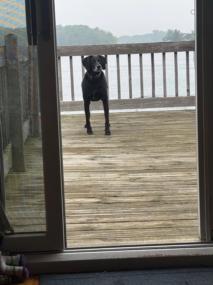 Image uploaded by Michael