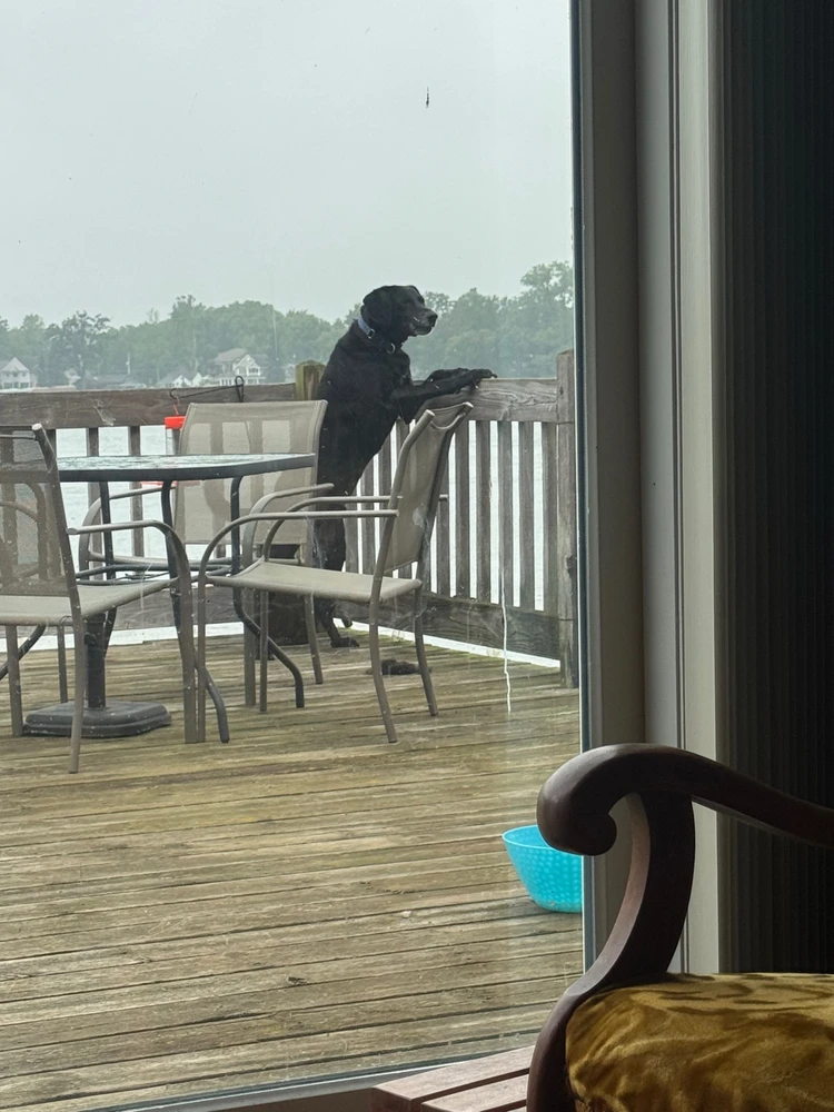 Image uploaded by Michael