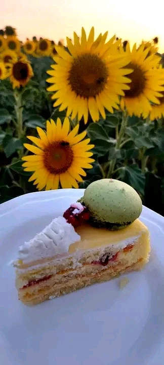 Bonjour 🌻🇩🇿