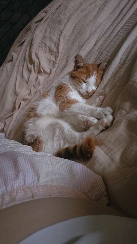 GIF ajouté par Maëva