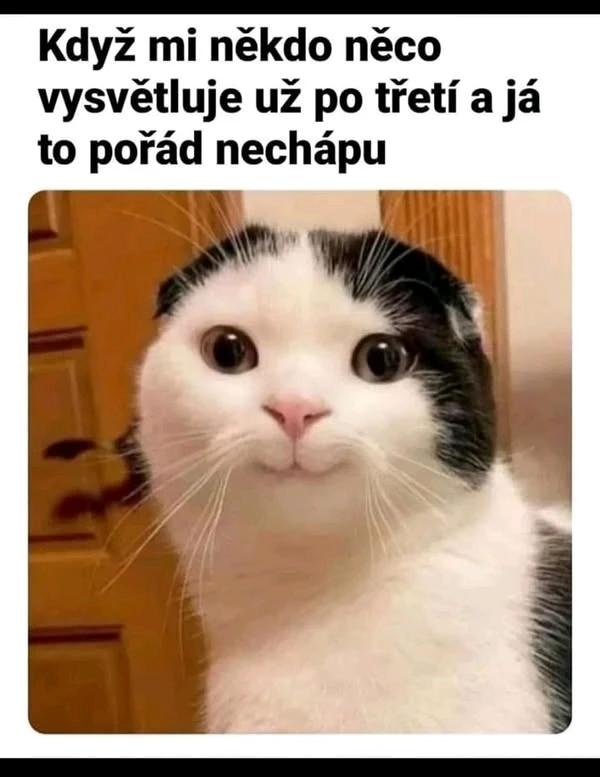 GIF nahrál František