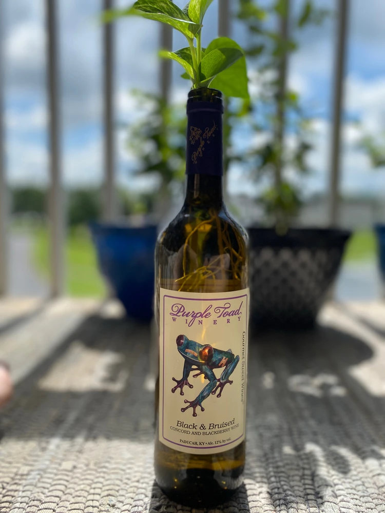 Image uploaded by Sirena