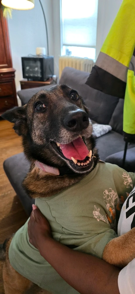 GIF diunggah dening Jackie