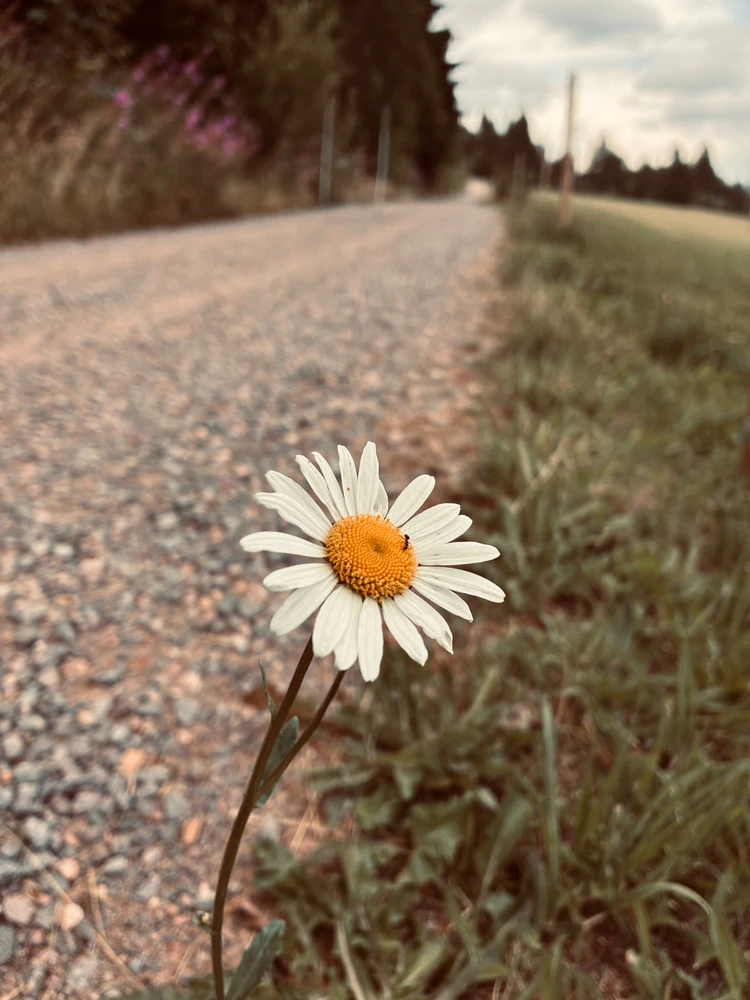 GIF hochgeladen von Tom